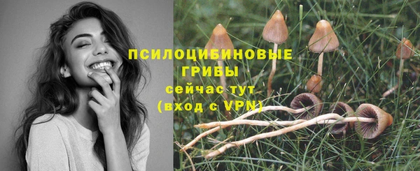 дурь Балабаново