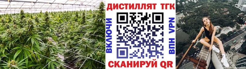 Купить закладки  Гаврилов-Ям  Дистиллят ТГК концентрат 