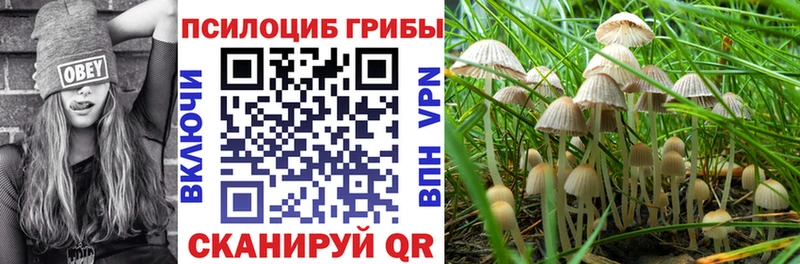Купить  Гаврилов-Ям  Галлюциногенные грибы мицелий 